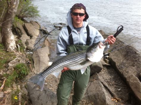 stripers on line|Stripers Online Forums .
